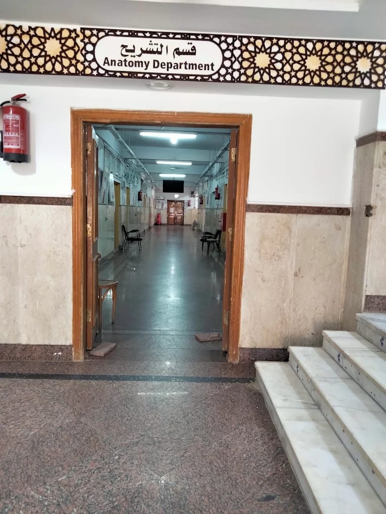 Anatomy Department corridor inside the Al-Azhar University Faculty of Medicine, with bilingual Arabic and English signage