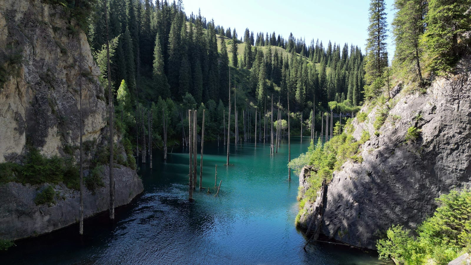 The Kaindy sunken-forest lake in the mountains of Kazakhstan, national scenery