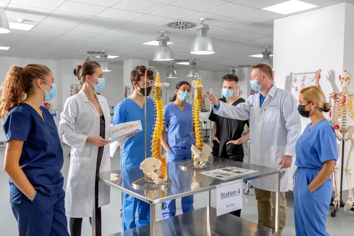 Anatomy teaching session in Cyprus