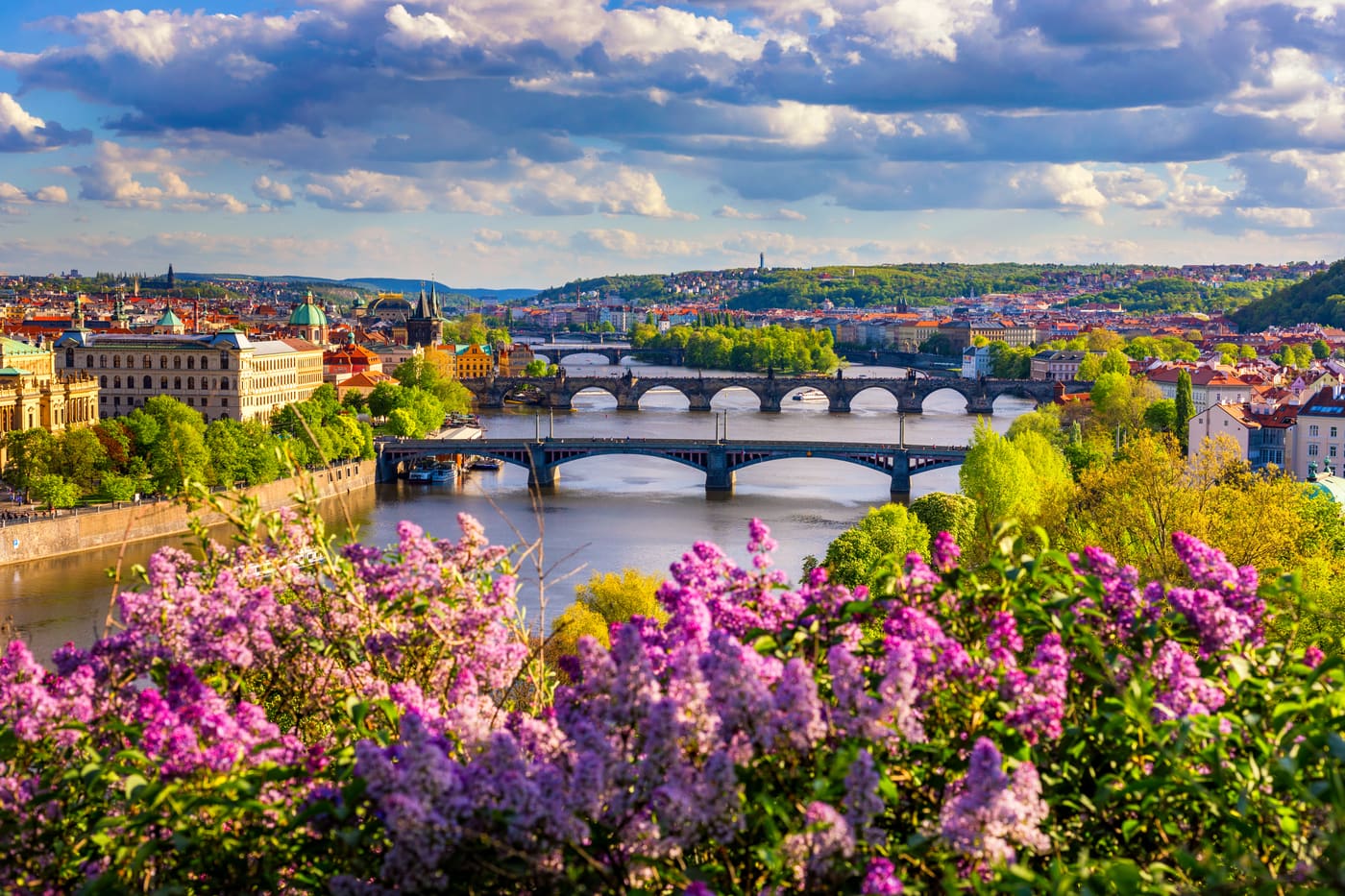 Vltava bridges in spring