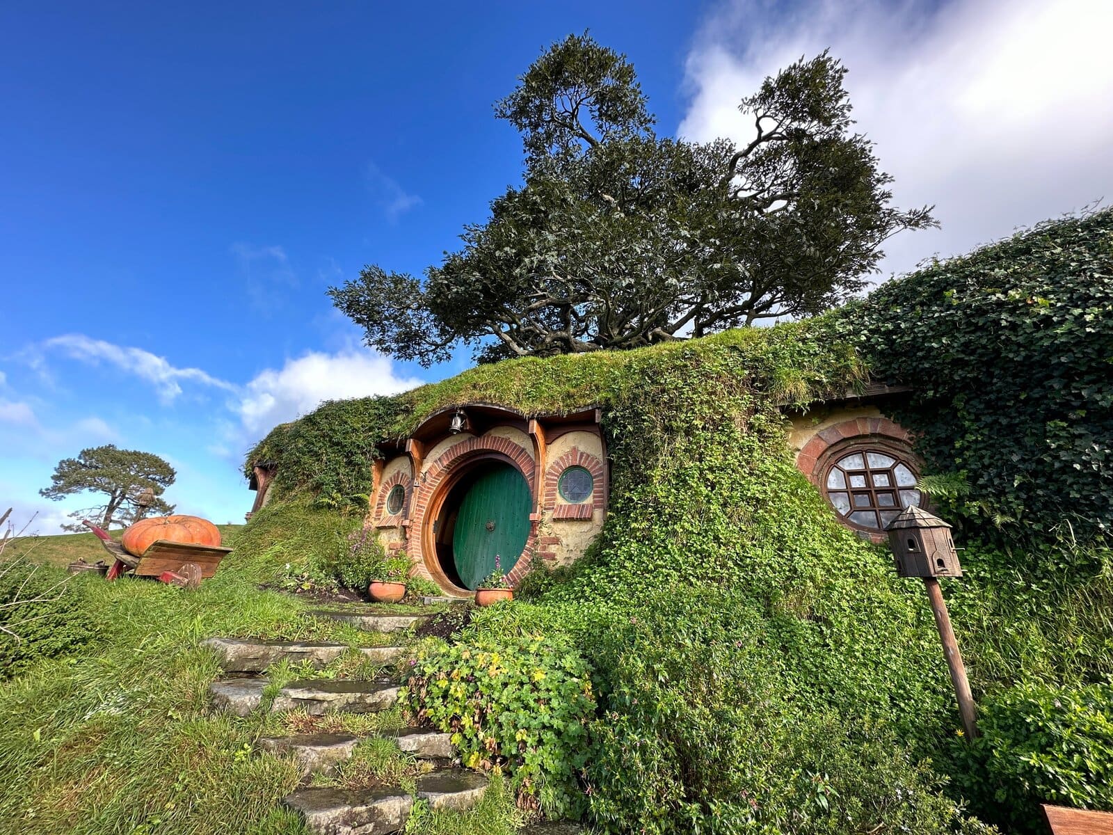 A hobbit-hole with a round green door set into a grassy hillside, New Zealand
