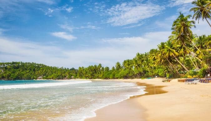 Palm-fringed golden beach on the southern coast of Sri Lanka