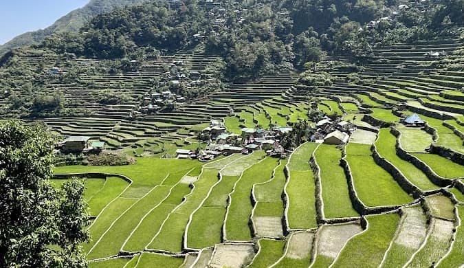 The Banaue rice terraces in the northern Philippines