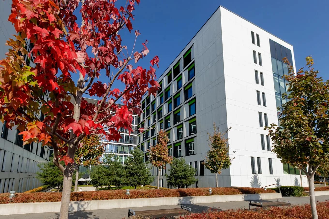 A Medical University of Warsaw building among autumn trees