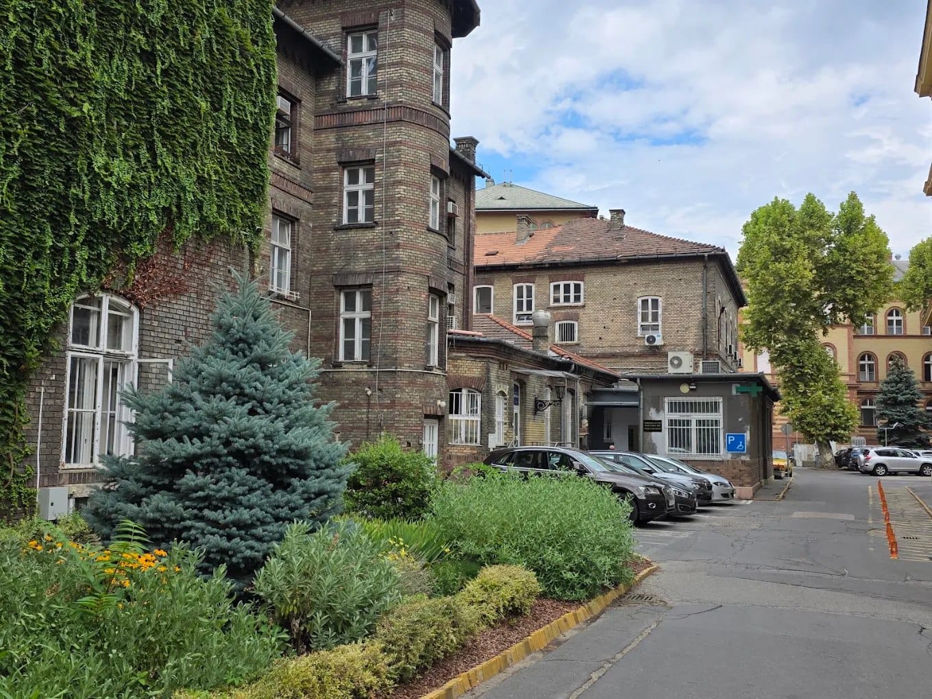 An ivy-covered Semmelweis University clinic building on a Budapest street