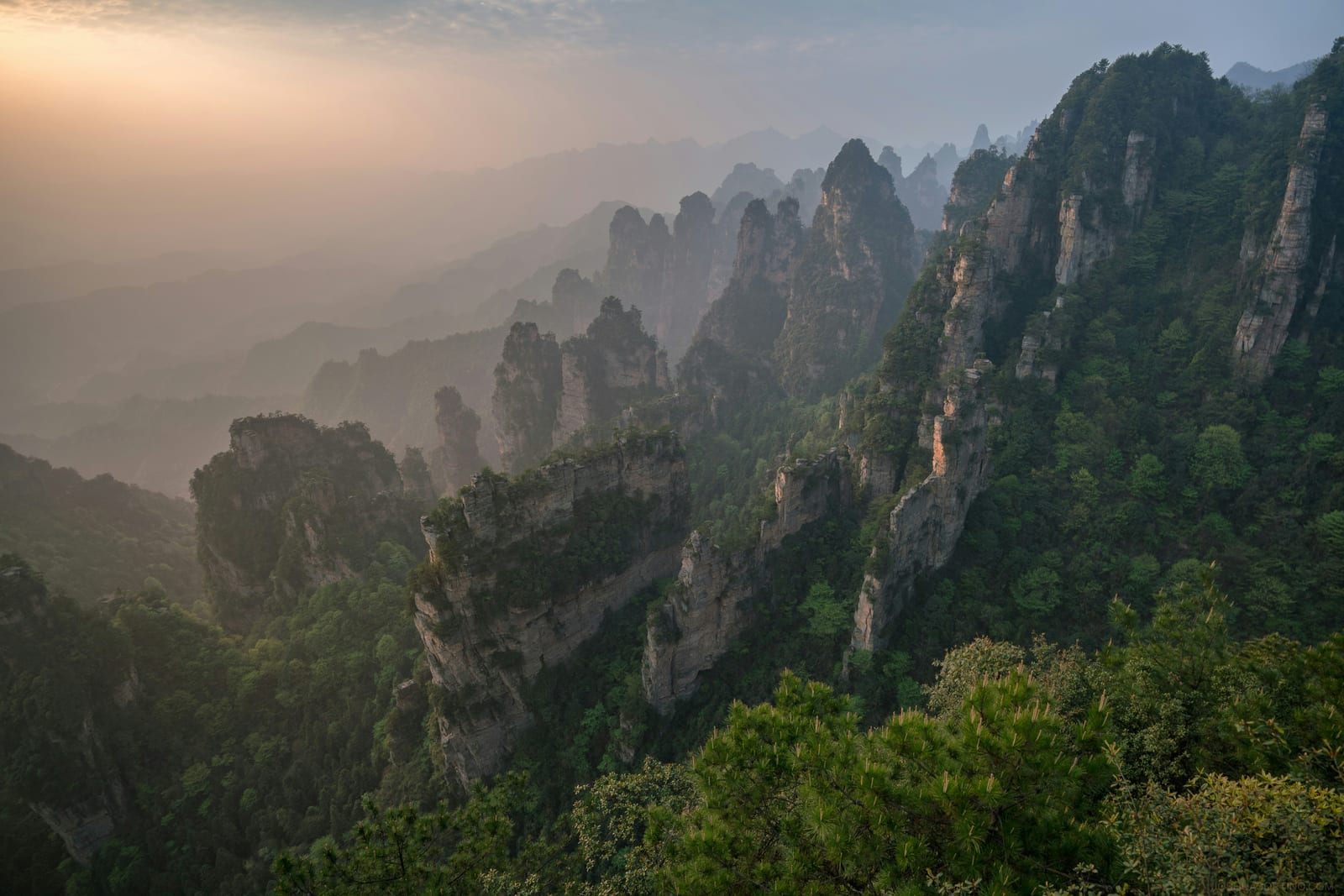 The karst peaks of Zhangjiajie in southern China (national context — not Shanghai)