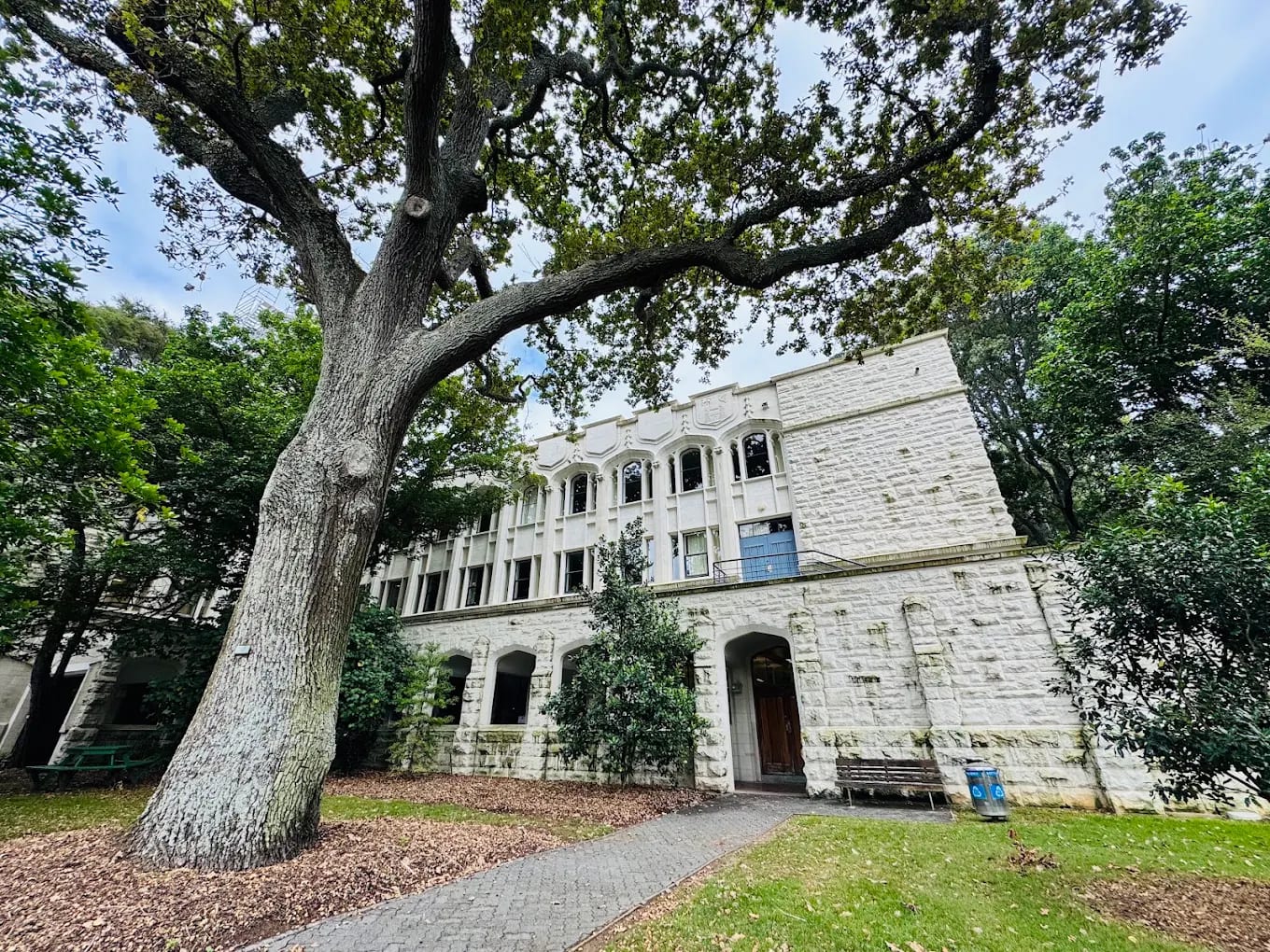 A sandstone heritage building at the University of Auckland's City campus, with a large oak, Auckland, New Zealand