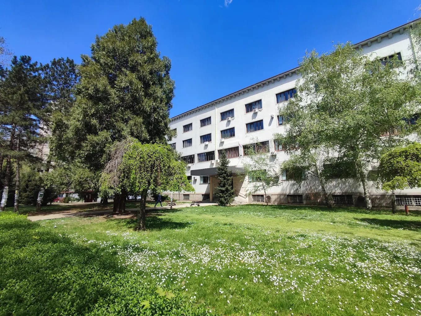 A garden-side wing of the University of Niš Faculty of Medicine in spring