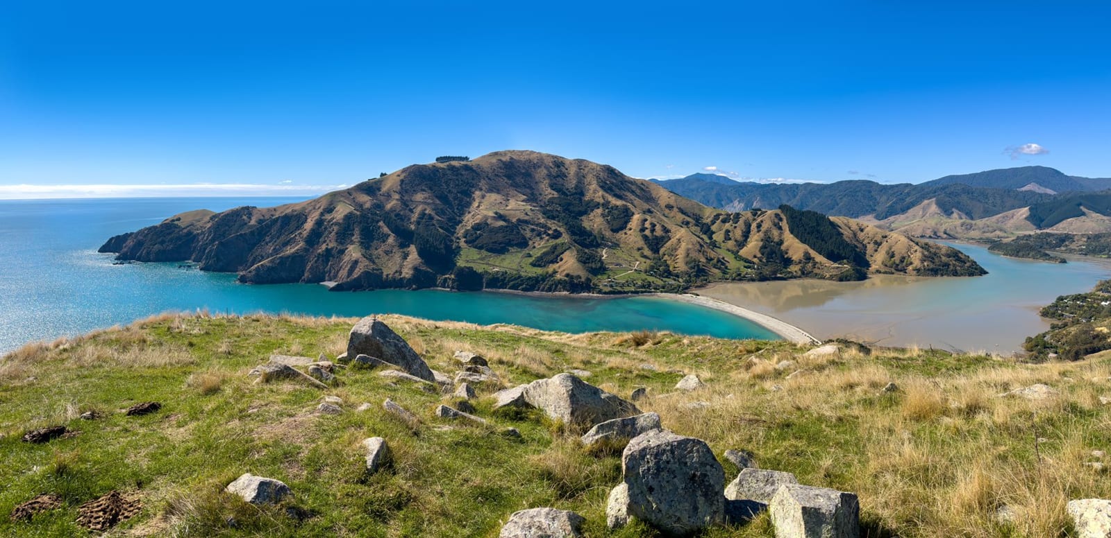 A coastal bay and headland at the top of New Zealand's South Island — scenery well north of Dunedin, not the campus