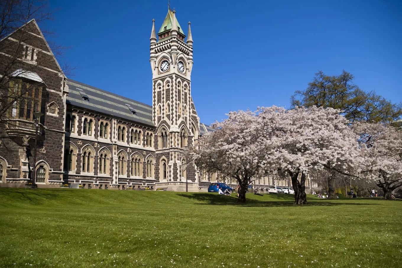The University of Otago Clocktower (Registry) building with spring blossom, Dunedin, New Zealand