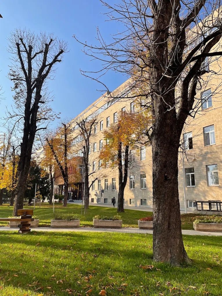 A historic street in the city of Pécs, Hungary, in autumn