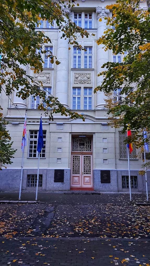 A student at Victor Babeș University of Medicine and Pharmacy, Timișoara