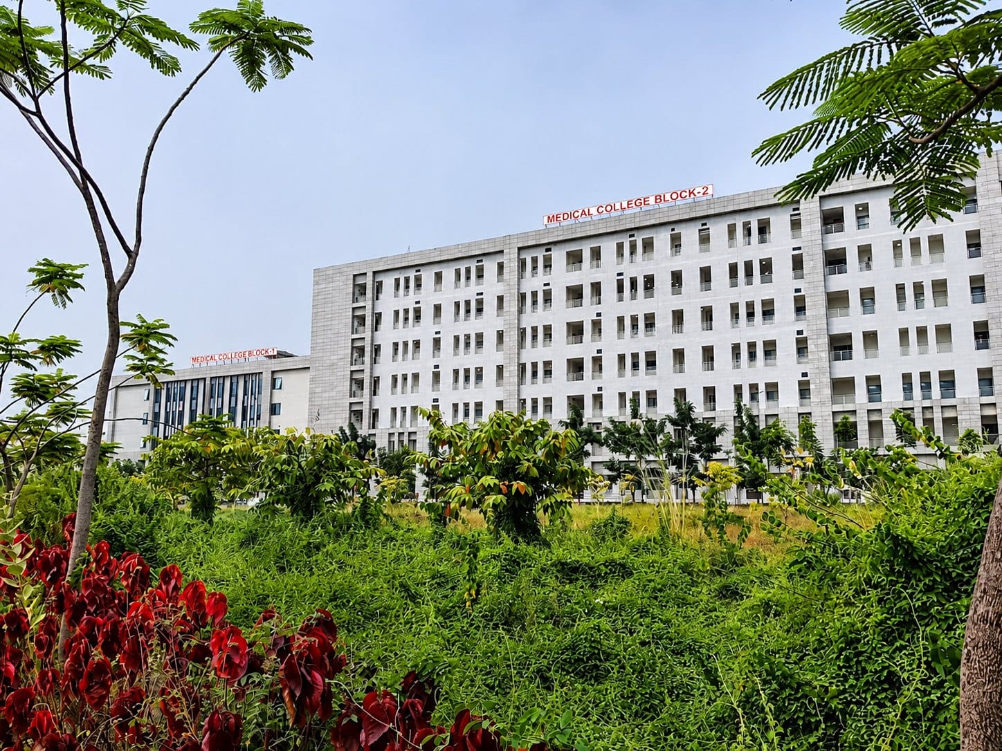 Medical College Block 2 at AIIMS Mangalagiri