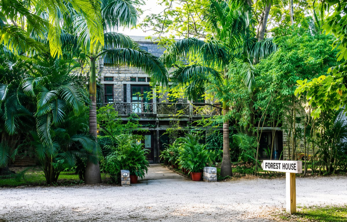 Forest House, a heritage residence set amid greenery on the CMC campus