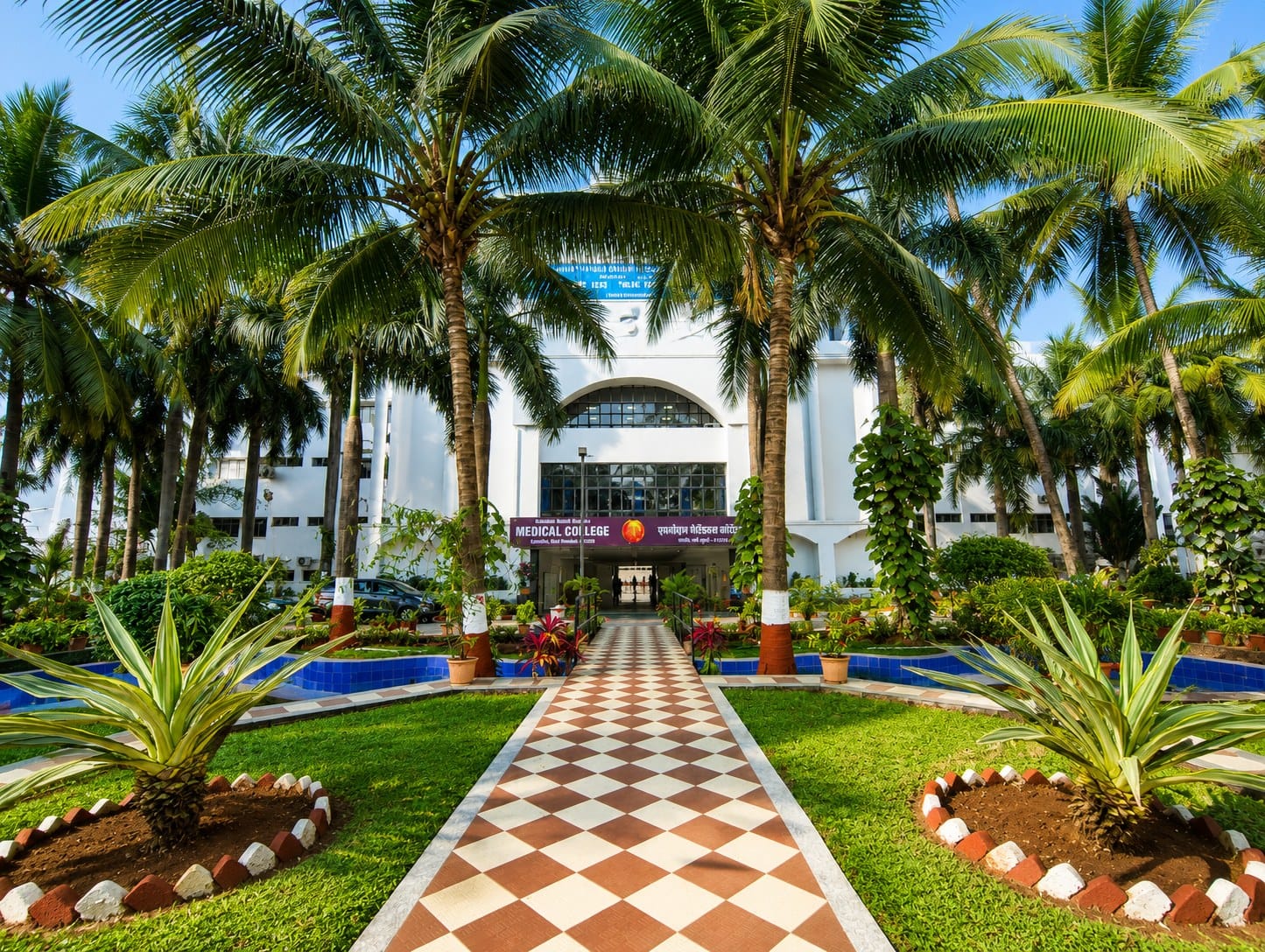 A palm-lined garden walkway at MGM Medical College, Navi Mumbai