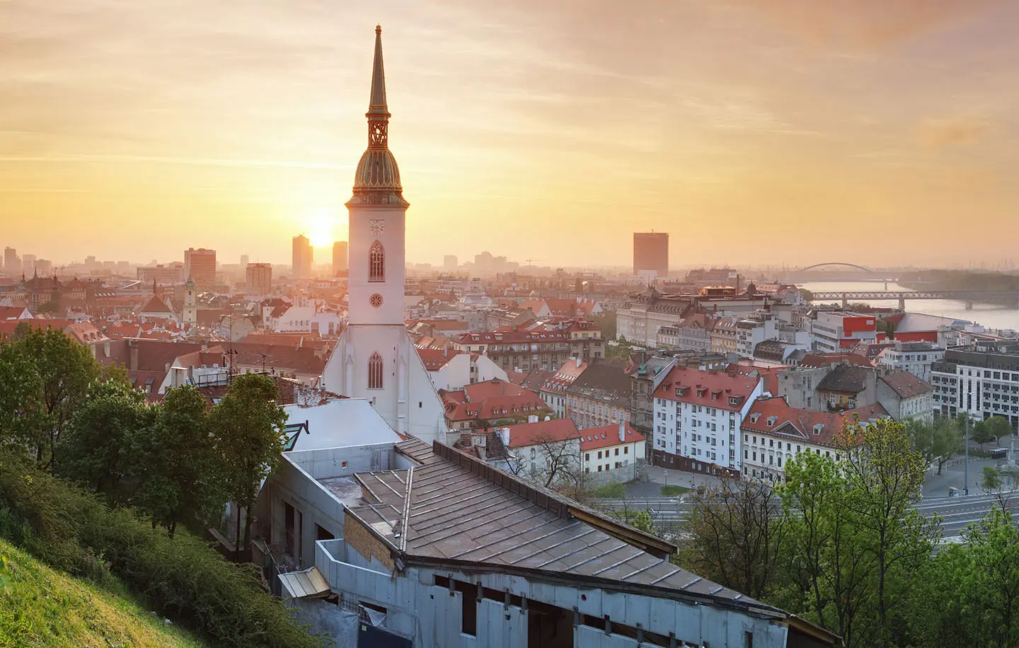 futuredoctor - Medizinstudium in Bratislava