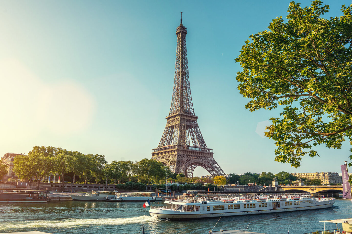 MBBS in France-futureMBBS