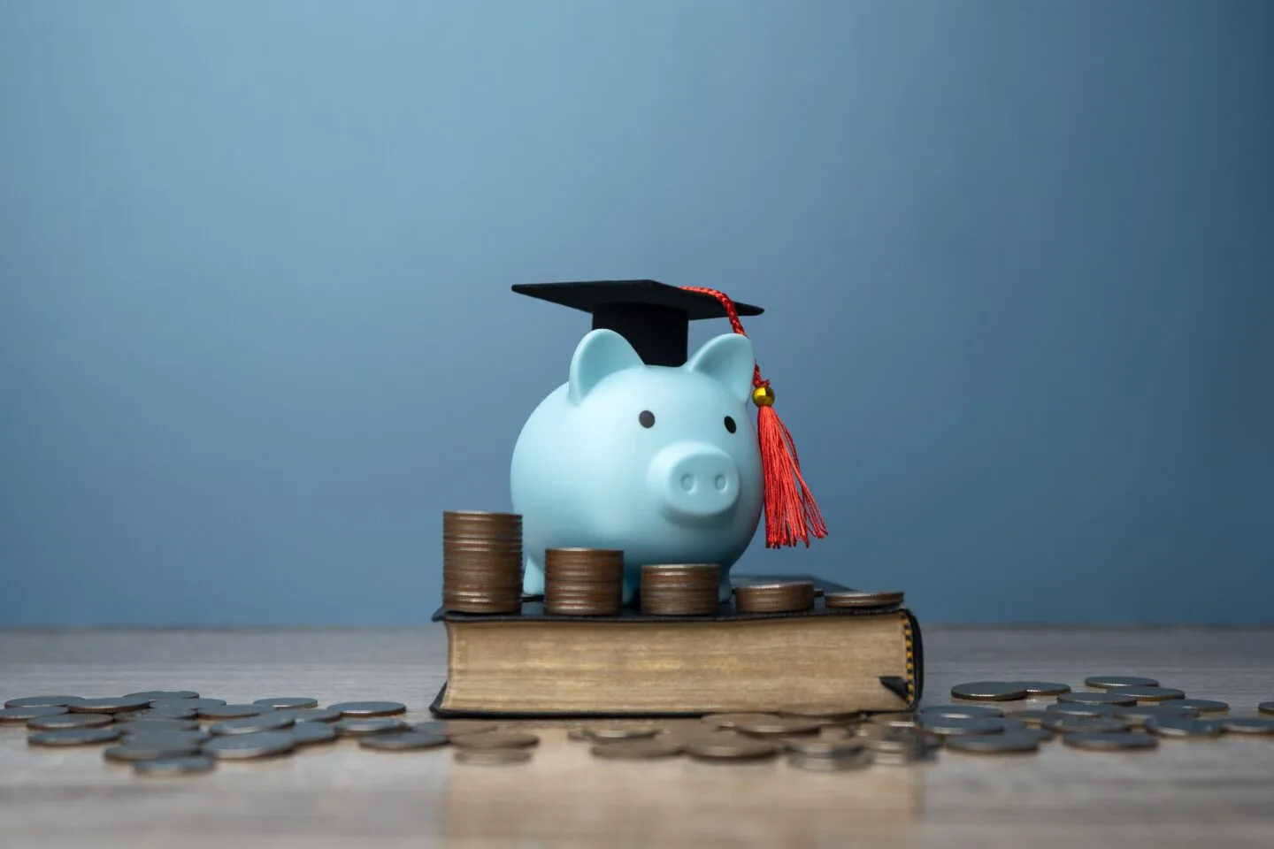 Investment,In,Education,And,Piggy,Bank,Investment,In,Knowledge,,Scholarships, primary medical qualification medical degree completing mbbs abroad study mbbs abroad mbbs in abroad - mbbs admission abroad foreign countries