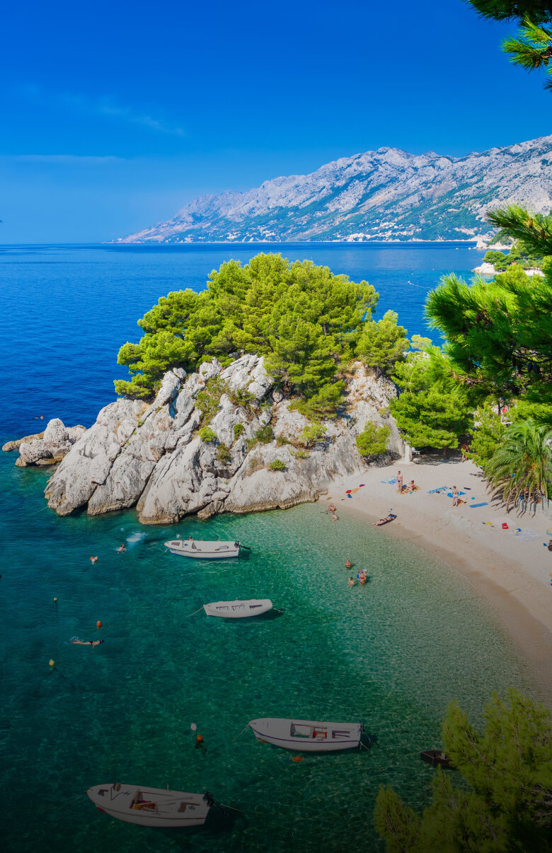 Medizinstudium in Kroatien Medizinstudium in Kroatien