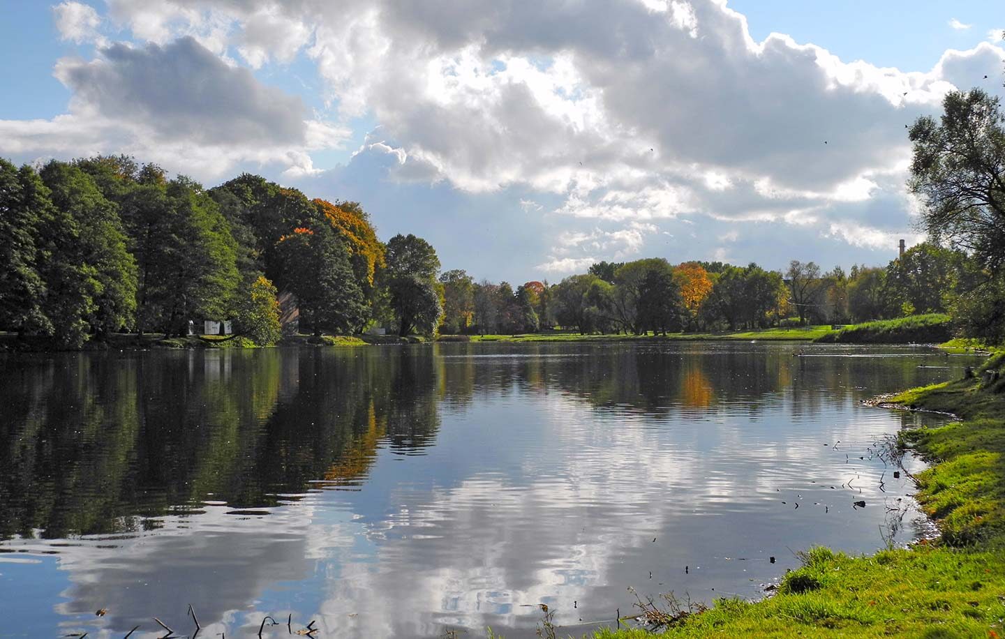 riga-8 latvia mbbs, mbbs in latvia